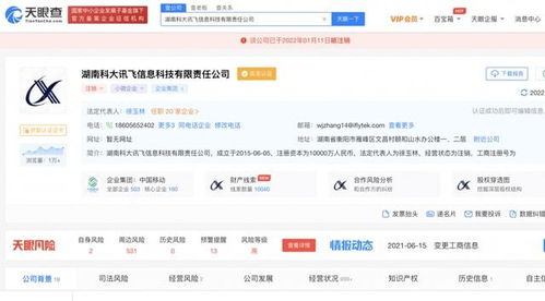湖南科大訊飛信息科技有限責(zé)任公司注銷，軟件開發(fā)領(lǐng)域引發(fā)行業(yè)關(guān)注