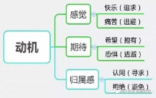 信息系統(tǒng)集成服務(wù) 為何用戶不買賬